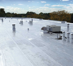 Single-Ply TPO Roofing
